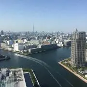 桃ちゃんの画像