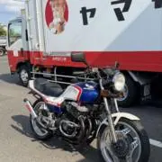らーまるの画像