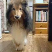 ありさの画像