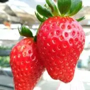 なーひーの画像
