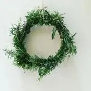 ひゅみっくの画像
