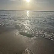 ドウェインの画像