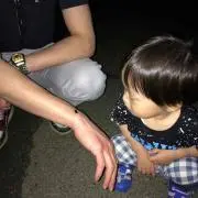 だんの画像