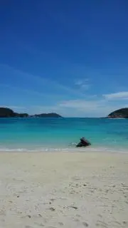 とみやんの画像