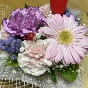しーの画像