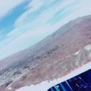 tomo