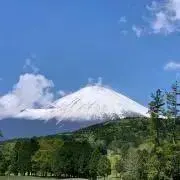 風見