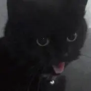 うあ