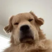 yyの画像