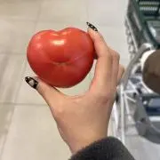 ちょびの画像