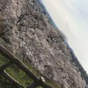 みかんの画像
