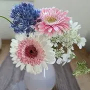 Meru☆の画像