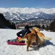 ぱとらん