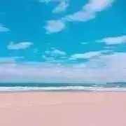 かりめろの画像