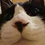 柚子そら