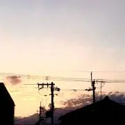 マキノの画像