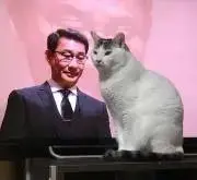 コタローの画像
