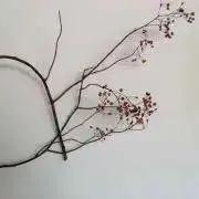 ○まるの画像