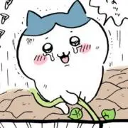 ハチワレ★土日発送の画像