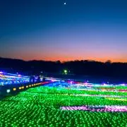 abmihs27の画像