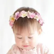 ひまわりの画像