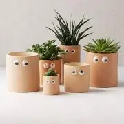ちあき