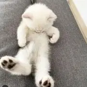 Kantoku プロフ必読♪