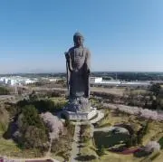 takahashi2011の画像