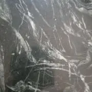 ぽにょの画像