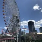 くまくまの画像