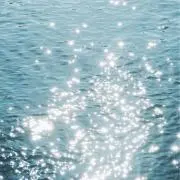 木漏れ日の画像