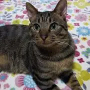 えみ