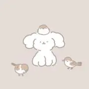 RIMAの画像