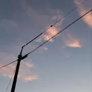 Mischの画像