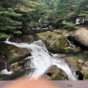 ピカさんの画像