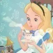 たまの画像