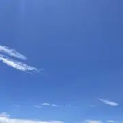 いぬの画像