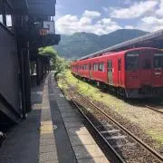ボンサイ