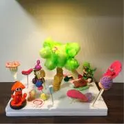 ｋｉｎｏｃｏの画像