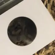 kurotamachanの画像