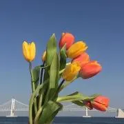 ya__の画像