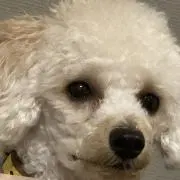 そぞろやの画像