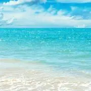 みずたま
