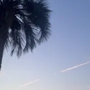 samuの画像