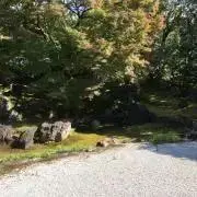 ゆりの画像