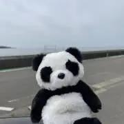 ぶしの画像