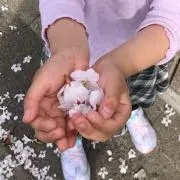 KIUMEの画像