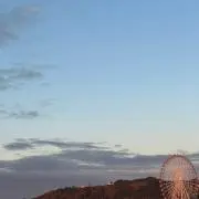 ポンちゃんの画像