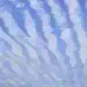 緑の田代池 横山和男 真作 風景画 油絵 - メルカリ