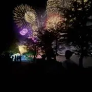 みんみんぜみ